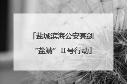 盐城滨海公安亮剑“盐靖”Ⅱ号行动