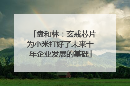 盘和林：玄戒芯片为小米打好了未来十年企业发展的基础