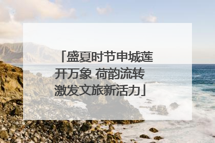 盛夏时节申城莲开万象 荷韵流转激发文旅新活力