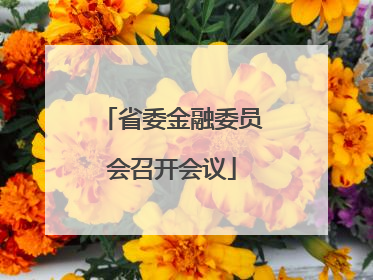 省委金融委员会召开会议