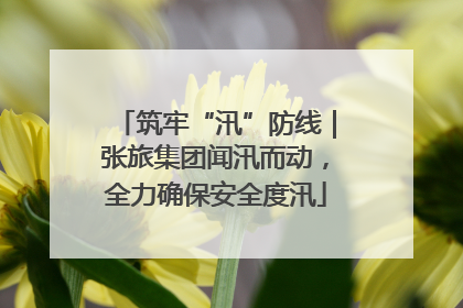 筑牢“汛”防线｜张旅集团闻汛而动，全力确保安全度汛