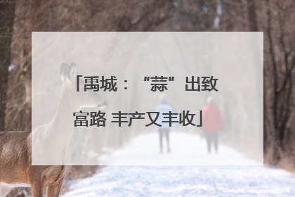 禹城：“蒜”出致富路 丰产又丰收