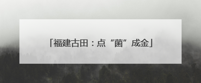 福建古田：点“菌”成金