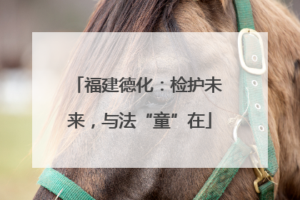 福建德化：检护未来，与法“童”在