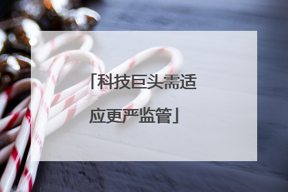 科技巨头需适应更严监管
