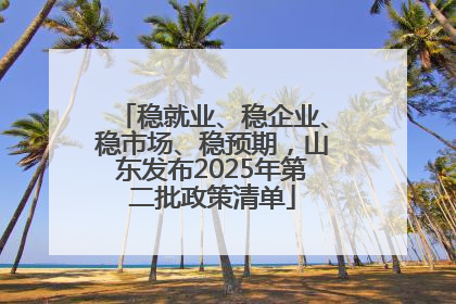 稳就业、稳企业、稳市场、稳预期，山东发布2025年第二批政策清单