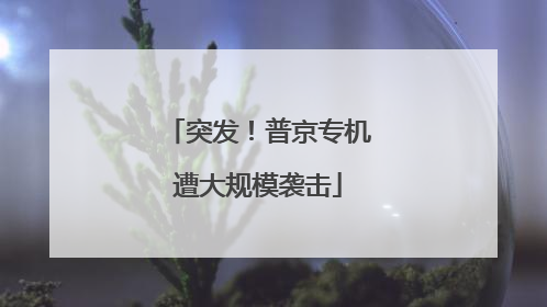 突发！普京专机遭大规模袭击