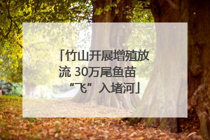 竹山开展增殖放流 30万尾鱼苗“飞”入堵河