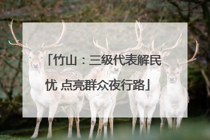 竹山：三级代表解民忧 点亮群众夜行路