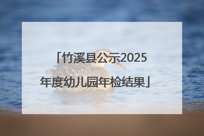 竹溪县公示2025年度幼儿园年检结果