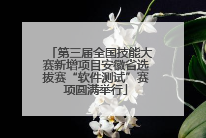 第三届全国技能大赛新增项目安徽省选拔赛“软件测试”赛项圆满举行
