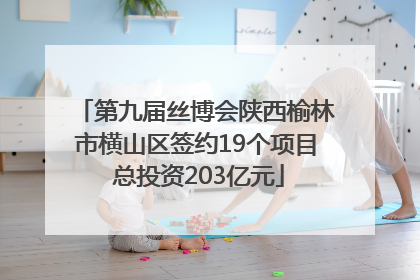 第九届丝博会陕西榆林市横山区签约19个项目 总投资203亿元