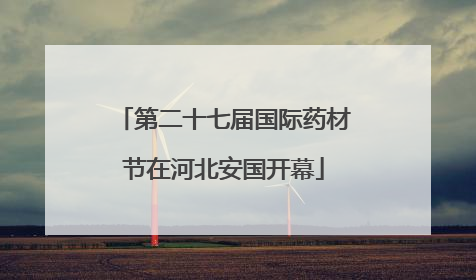 第二十七届国际药材节在河北安国开幕