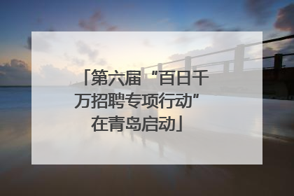 第六届“百日千万招聘专项行动”在青岛启动