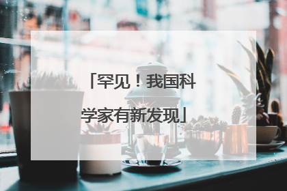 罕见！我国科学家有新发现