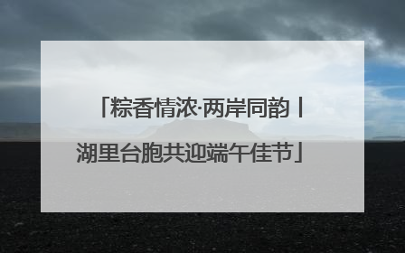 粽香情浓·两岸同韵丨湖里台胞共迎端午佳节