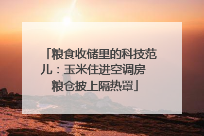 粮食收储里的科技范儿：玉米住进空调房 粮仓披上隔热罩