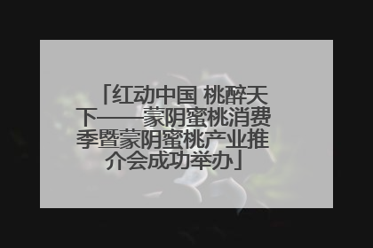 红动中国 桃醉天下——蒙阴蜜桃消费季暨蒙阴蜜桃产业推介会成功举办