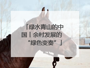 绿水青山的中国丨余村发展的“绿色变奏”