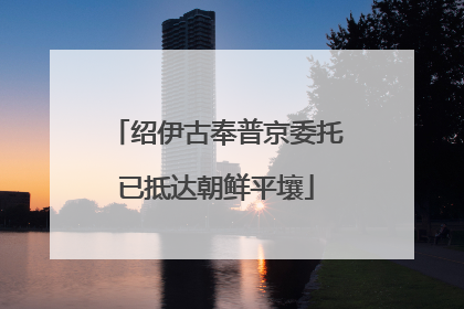 绍伊古奉普京委托已抵达朝鲜平壤