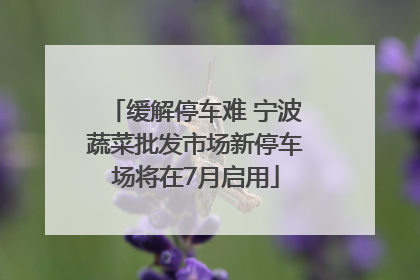 缓解停车难 宁波蔬菜批发市场新停车场将在7月启用