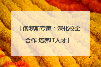 俄罗斯专家：深化校企合作 培养IT人才