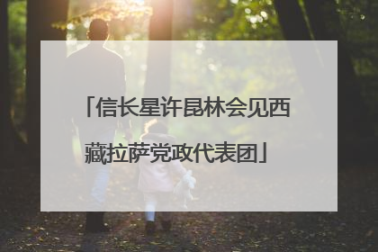 信长星许昆林会见西藏拉萨党政代表团
