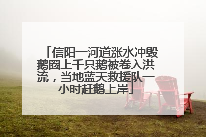 信阳一河道涨水冲毁鹅圈上千只鹅被卷入洪流，当地蓝天救援队一小时赶鹅上岸