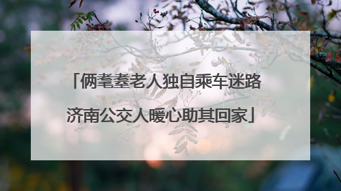 俩耄耋老人独自乘车迷路 济南公交人暖心助其回家