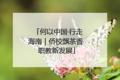 何以中国·行走海南｜侨校飘茶香 职教新发展