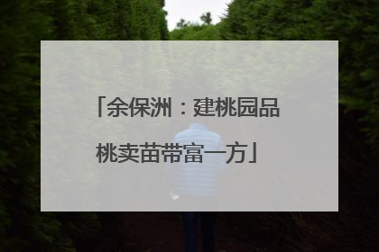 余保洲：建桃园品桃卖苗带富一方