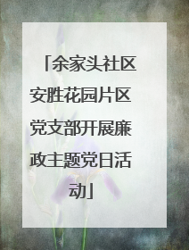 余家头社区安胜花园片区党支部开展廉政主题党日活动