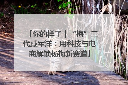 你的样子｜“梅”二代戚军洋：用科技与电商解锁杨梅新赛道