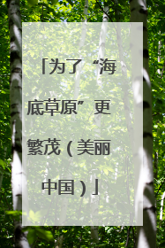 为了“海底草原”更繁茂（美丽中国）
