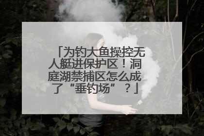 为钓大鱼操控无人艇进保护区！洞庭湖禁捕区怎么成了“垂钓场”？