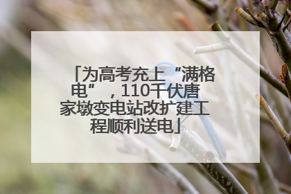 为高考充上“满格电”，110千伏唐家墩变电站改扩建工程顺利送电