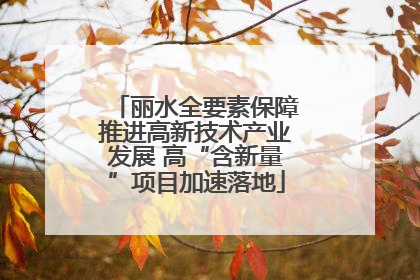 丽水全要素保障推进高新技术产业发展 高“含新量”项目加速落地