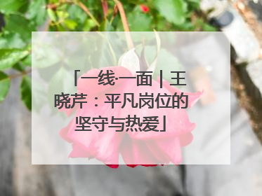 一线·一面｜王晓芹：平凡岗位的坚守与热爱