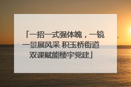 一招一式强体魄，一镜一景展风采 积玉桥街道双课赋能楼宇党建