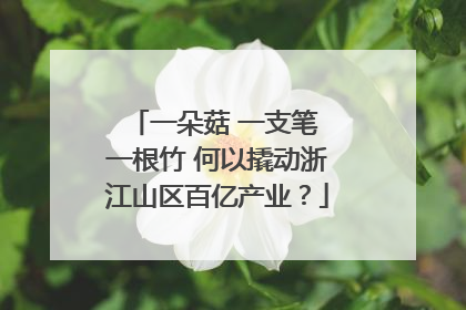 一朵菇 一支笔 一根竹 何以撬动浙江山区百亿产业？