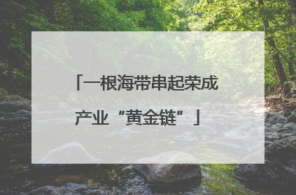 一根海带串起荣成产业“黄金链”
