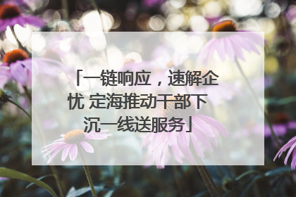 一链响应，速解企忧 定海推动干部下沉一线送服务