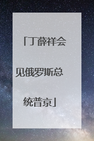丁薛祥会见俄罗斯总统普京
