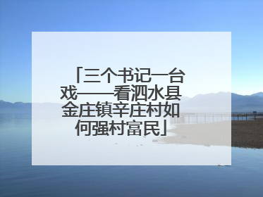 三个书记一台戏——看泗水县金庄镇辛庄村如何强村富民