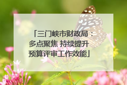 三门峡市财政局：多点聚焦 持续提升预算评审工作效能