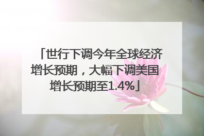 世行下调今年全球经济增长预期，大幅下调美国增长预期至1.4%