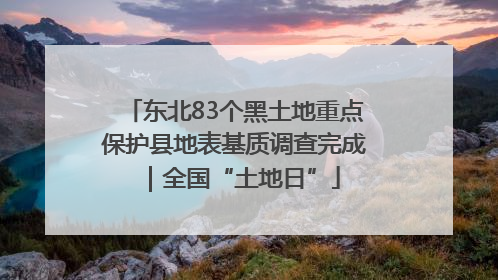 东北83个黑土地重点保护县地表基质调查完成｜全国“土地日”