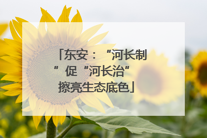 东安：“河长制”促“河长治” 擦亮生态底色