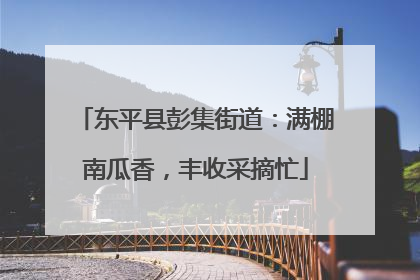 东平县彭集街道：满棚南瓜香，丰收采摘忙