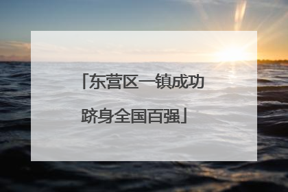 东营区一镇成功跻身全国百强